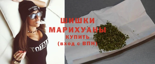прущие грибы Рославль
