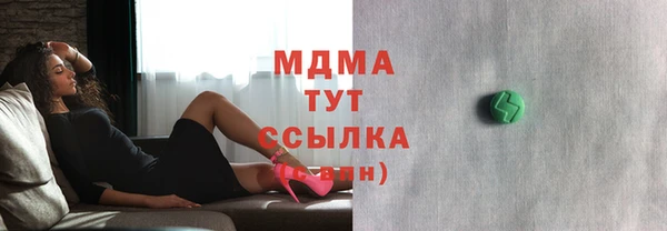 прущие грибы Рославль