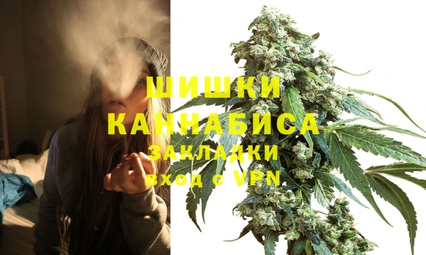 крисы Ростов