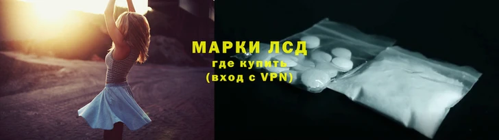 крисы Ростов