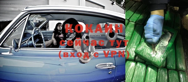 прущие грибы Рославль
