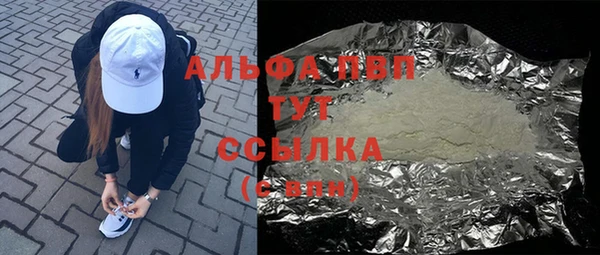 прущие грибы Рославль