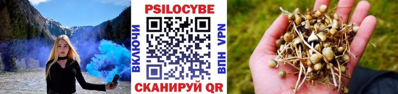 Галлюциногенные грибы прущие грибы  Наволоки 